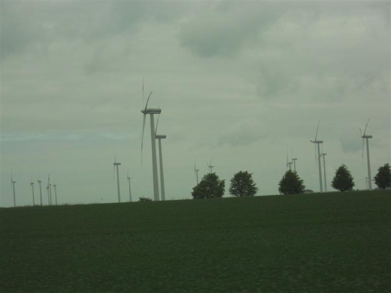 DSCN0467 (Medium).jpg